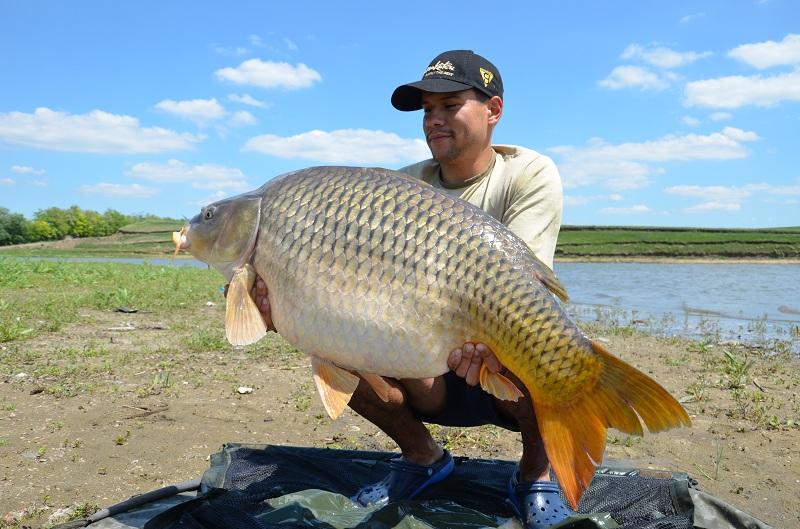 Sarulesti - Mai 2013 - andrei-vladeanu-pescuit-sarulesti-21.JPG